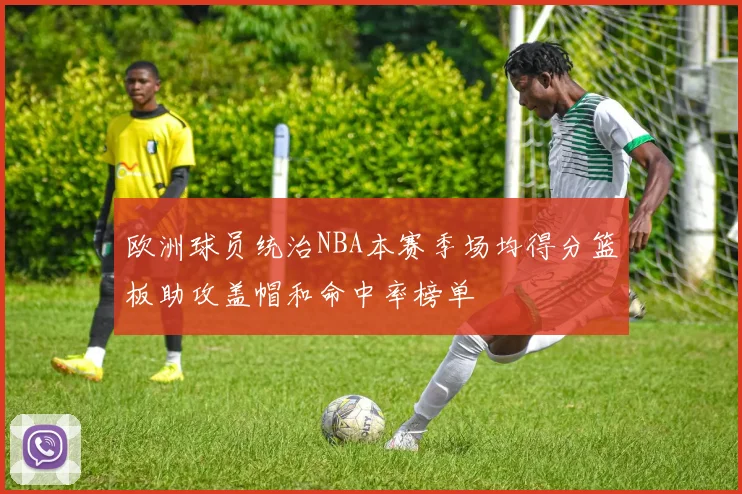 欧洲球员统治NBA本赛季场均得分篮板助攻盖帽和命中率榜单