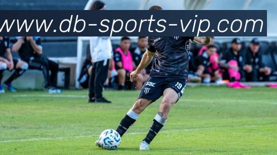 db电子体育官网发展历程